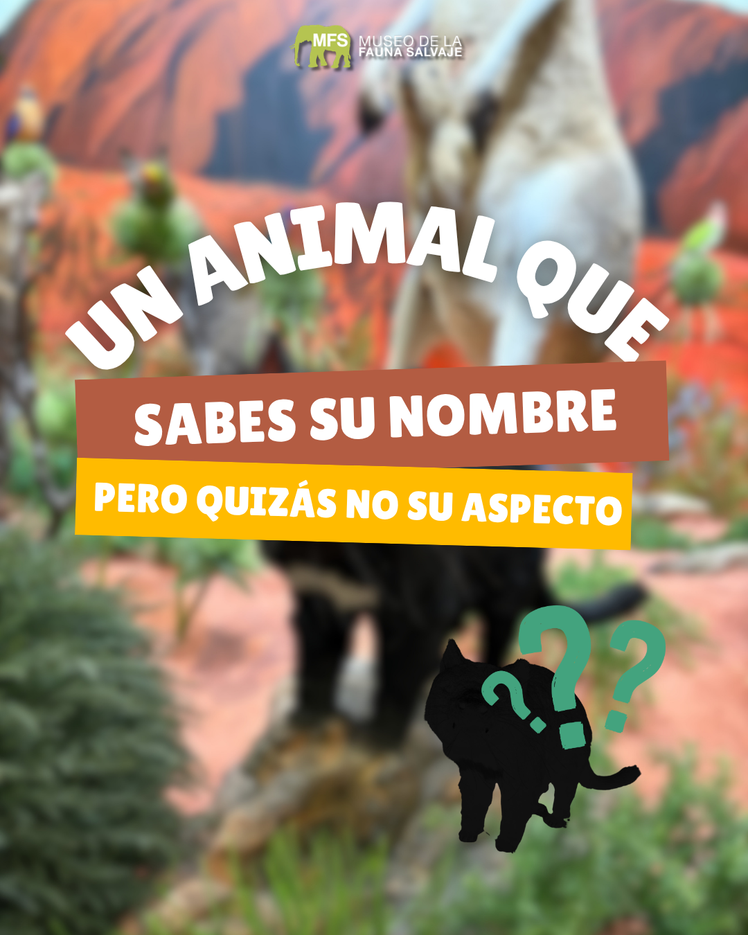 Creatividad Museo Fauna adivina animal